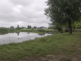 В&nbsp;Александровке засыпали дрену и&nbsp;застроили ее&nbsp;&mdash; жителей топит каждый сезон
