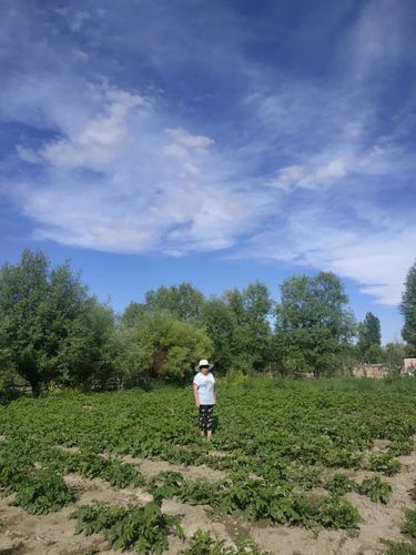 Дөөлөтбүбү Токтоназоварованын архивинен