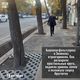 Фото инициативы PeshCom. На улице Киевской сделали приствольные круги у деревьев