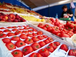 В&nbsp;Кузбасс привезли 121 тонну свежих овощей из&nbsp;Кыргызстана и&nbsp;Казахстана 