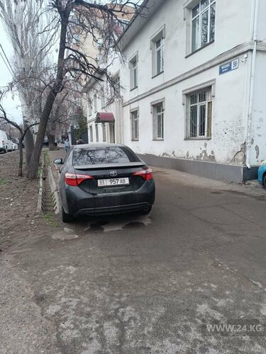 читателя 24.kg