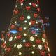 Фото мэрии Оша. На центральной площади зажгли новогоднюю елку