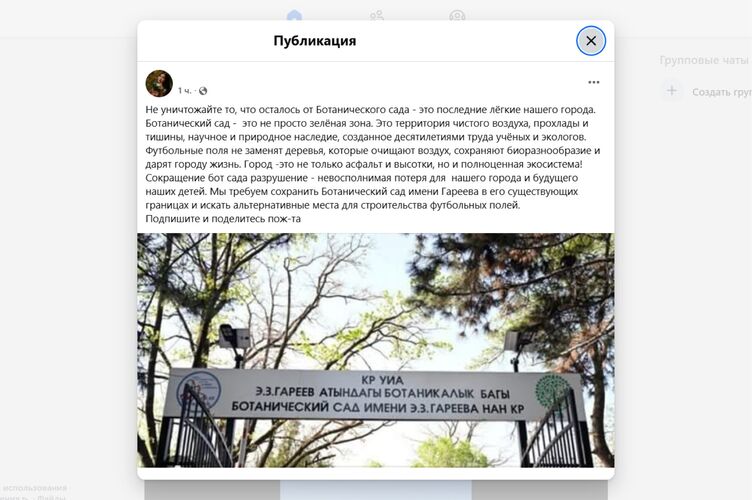 из соцсетей