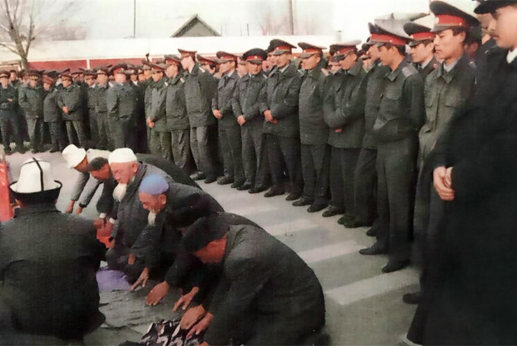 из интернета