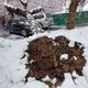 Фото 24.kg. В Бишкеке дерево упало на машину