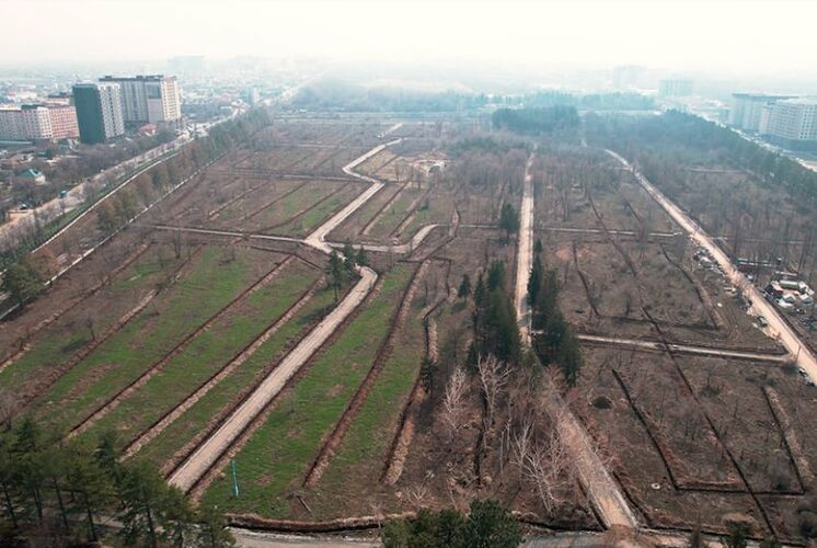 Фото 24.kg. В Ботсаду на Ахунбаева вырубили много деревьев и кустарников