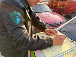 Уничтожение клумб в&nbsp;Бишкеке: мэрия оштрафовала владельцев аттракционов
