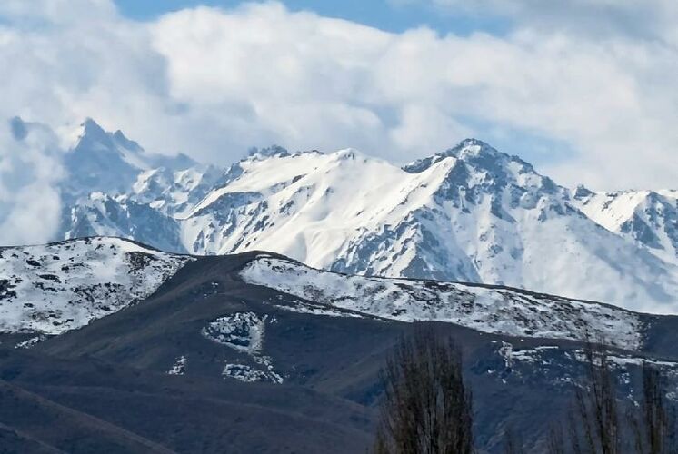 Василия Павлова