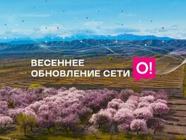 Весеннее обновление: сеть&nbsp;О! стала еще мощнее по&nbsp;всему Кыргызстану
