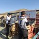 Фото Федерации боевой и практической стрельбы. Чемпионат Кыргызстана по практической стрельбе из пистолета