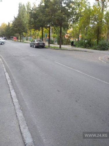 читателя 24.kg