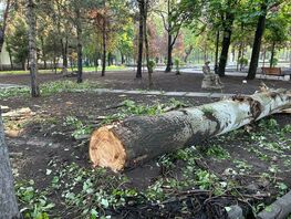 Реконструкция Дубового парка в&nbsp;Бишкеке началась с&nbsp;вырубки деревьев
