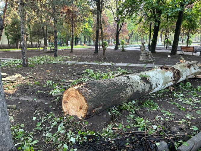 Фото читателя 24.kg