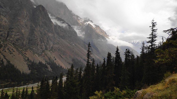 Айгуль Куватовой