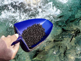 Kyrgyz fish farmers sound alarm over possible ban on trout feed imports