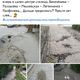 Фото Facebook. Бишкекчанка возмутилась качеством тротуаров в центре города