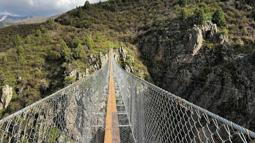 из интернета