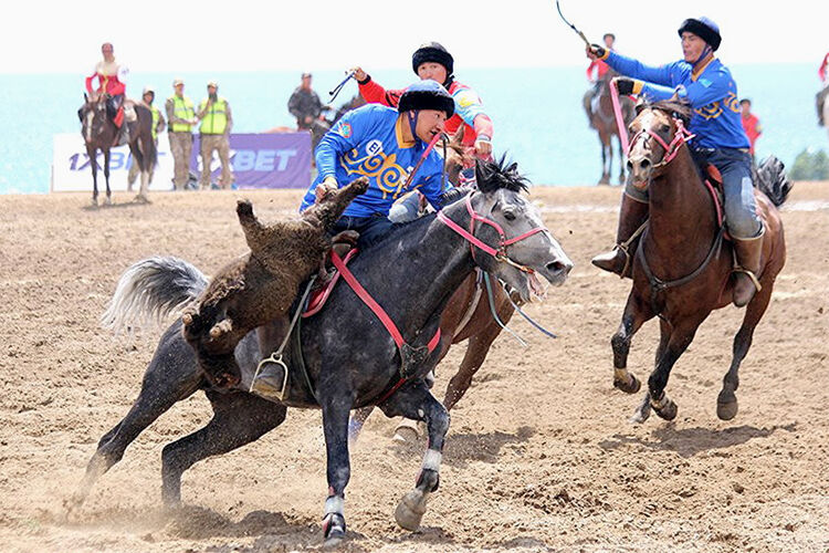 из интернета