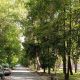 Фото Николая Манаковского. Бишкек, район городка Совмина