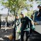 Фото компании. MEGA вносит вклад в развитие зеленых зон страны и поддерживает экологическое благополучие регионов Кыргызстана