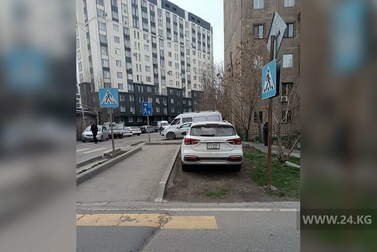 читателя 24.kg