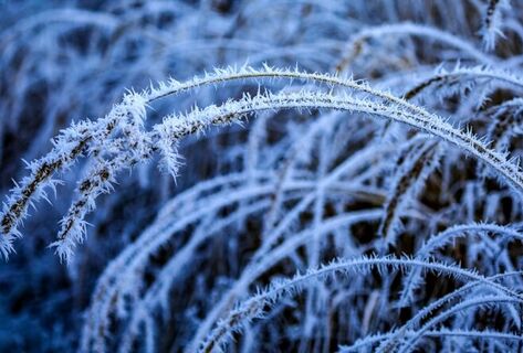 Weather forecast for first days of 2026 in Bishkek (January 1–4)