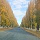 Фото Нурлана Стамбека. Золотая осень, октябрь. Северный берег Иссык-Куля