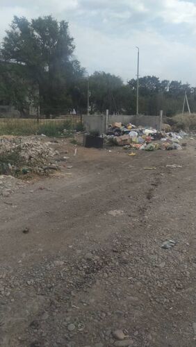 читателя 24.kg