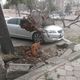 Фото читателя 24.kg. В центре Бишкека дерево упало на припаркованный автомобиль