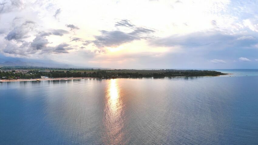 Евгения Липкина