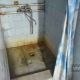 Фото 24.kg. СДЮШОР по теннису, паралимпийским и силовым видам спорта