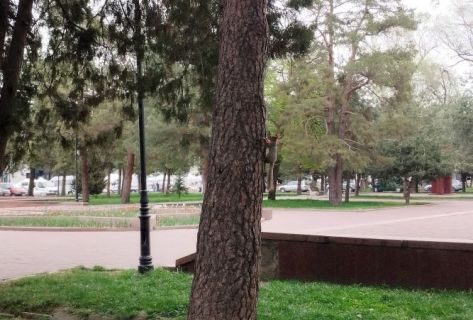 Мгновения жизни: красота Кыргызстана в&nbsp;фото и&nbsp;видео читателей 24.kg
