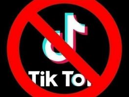 ЖК&nbsp;депутаты Бекешев Кыргызстанда TikTok&rsquo;ту бөгөттөн чыгаруунун себептерин атады
