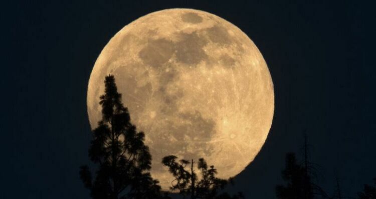 Интернеттен алынды