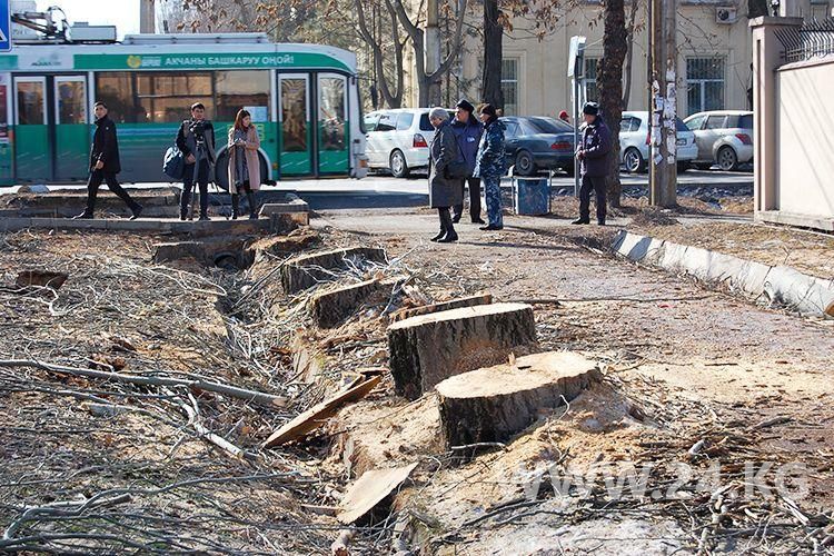 из архива