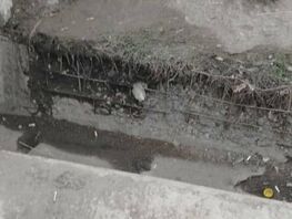 Бишкекчане жалуются на&nbsp;состояние арыков на&nbsp;отремонтированной улице Токтоналиева
