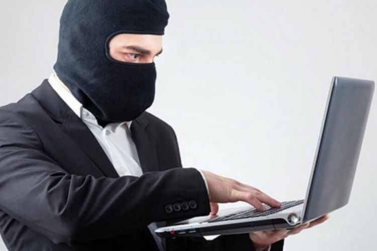 из интернета
