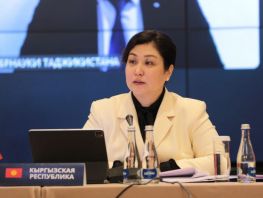 Kyrgyzstan proposes creating green technology corridor to SCO countries