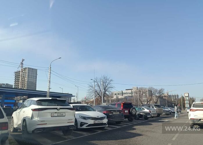 читателей 24.kg