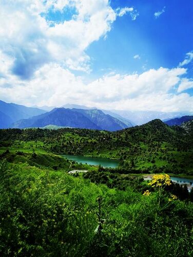 Манап кызы Айнуры