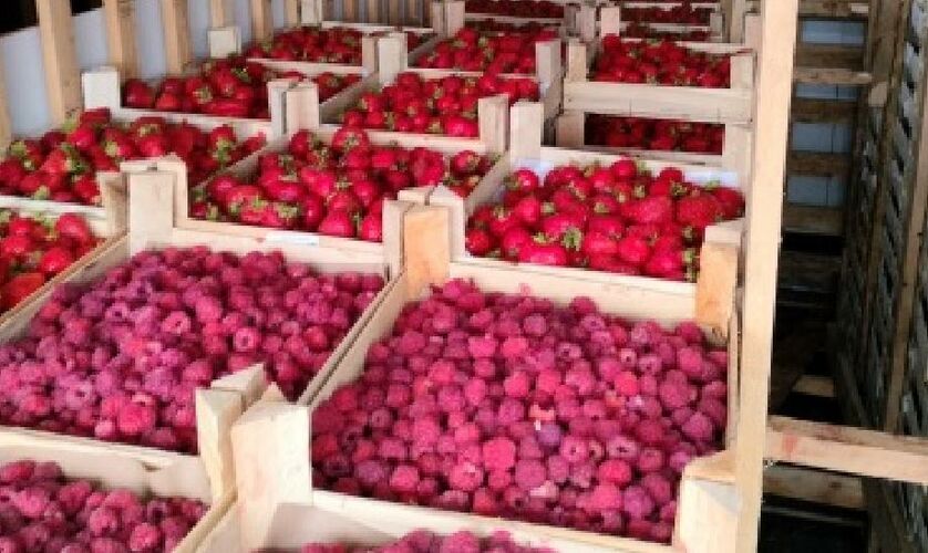 Россельхознадзора