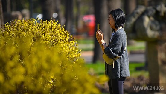 Весна в&nbsp;Бишкеке: город и&nbsp;природа просыпаются. Фоторепортаж
