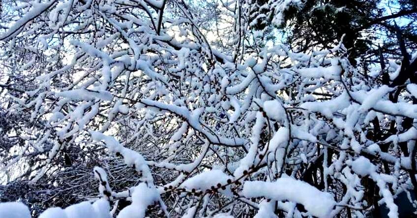 В&nbsp;Бишкеке ночью ожидаются снег и&nbsp;заморозки. Прогноз погоды на&nbsp;15-17 декабря
