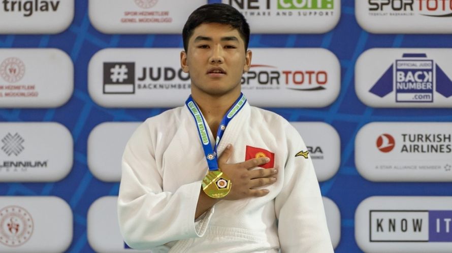 из интернета