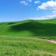 Фото Бакыта Шукуралиева. Изумрудные пейзажи Чуйской долины