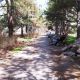 Фото 24.kg. Ботанический сад по улице Ахунбаева