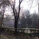 Фото Мээрим Акназаровой. Бишкек, сквер у КНУ, 15 марта 2026 года