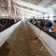 Фото пресс-службы СИН МЮ КР. Фермы поставляют от 30 до 35 тонн мяса ежеквартально