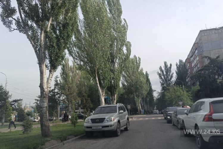 читателя 24.kg