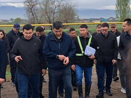 Жители Новопавловки рискуют лишиться участков из-за строительства дороги
